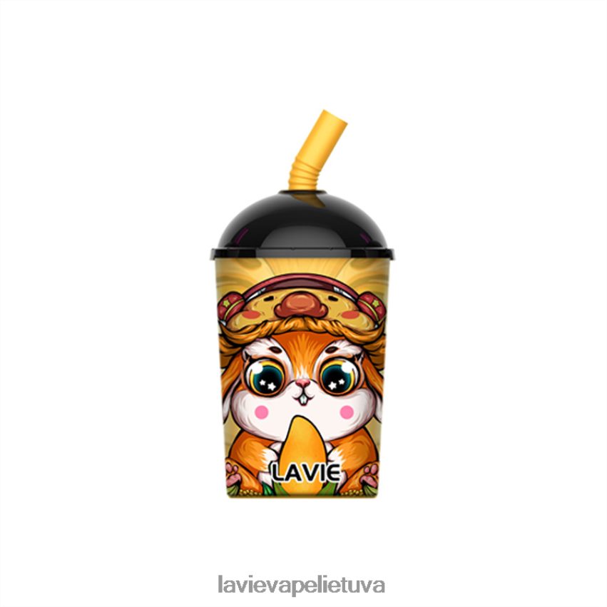 N226RV262 Lavie Vape Kaina | mangų ledas LAVIE Max Cup 8000 įkvėpimų